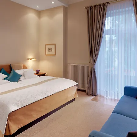 Rheinhotel Dreesen 본