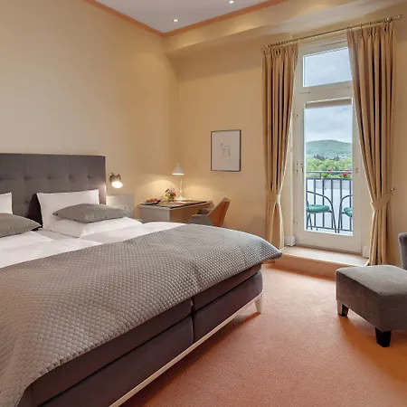 Hotel Rheinhotel Dreesen