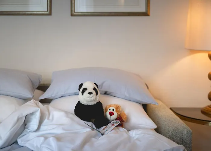 Hotel Rheinhotel Dreesen