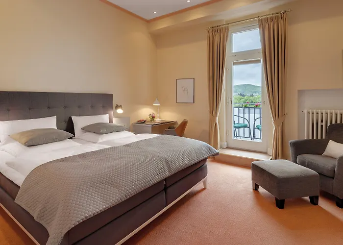 Hotel Rheinhotel Dreesen