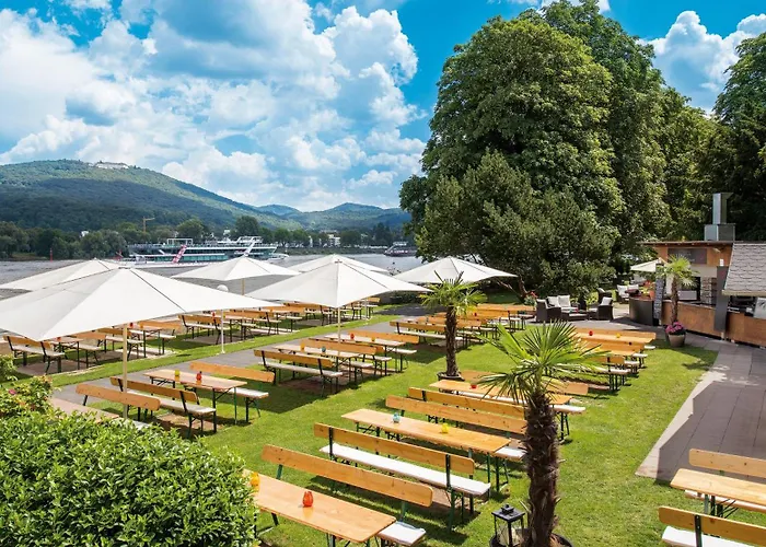 Hotel Rheinhotel Dreesen 4*